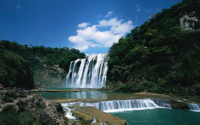 救援鹦鹉